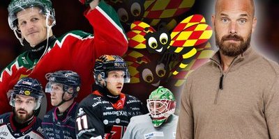 Signerat Sanny: Betyg på alla SHL-lag