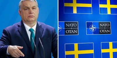 Orbáns reaktion efter kravet: Bjuder in till "förhandlingar"