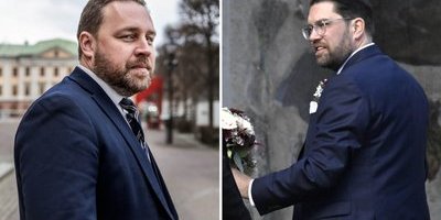 Mattias Karlsson: Berättade inte för Jimmie Åkesson