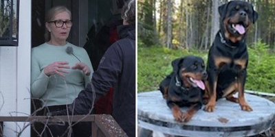 Rottweilerna spred skräck i nästan ett år – sedan dödades Nikodemus