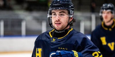 Bobby Nardella lämnar HV71