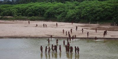 Dyker upp på stranden – efter över 100 år: "De flyr från skogshuggare"