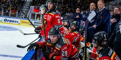 Flera hockeyklubbar straffas – får flaggförbud