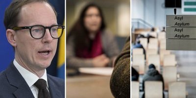 Regeringen ska kartlägga invandrares värderingar