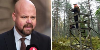 Öppnar för ändrad älgförvaltning: "Skyttegravskriget måste sluta"