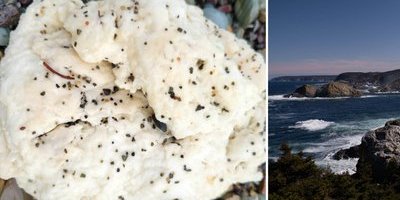 Mystiska klumpar på Newfoundlands stränder förbryllar