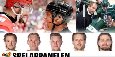 SPELARPANELEN: ✓ Lundins dom: "Helt sjukt" ✓ Bästa domaren ✓ Favoriten i SHL just nu