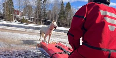 Hund fast på isflak – räddad efter insats