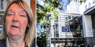 Sveriges flopp i EU – blir utan toppjobb: "Inte intressanta"