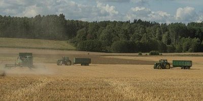 Tvärvändning på marknaden – spannmålspriser rasar