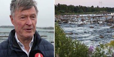 Professor vill bygga ut de orörda älvarna: "Vi är i ett allvarligt läge"