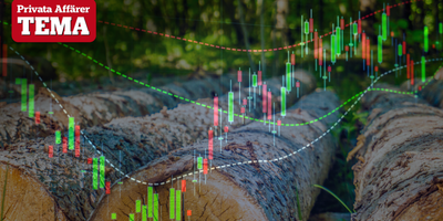 Storaffären väcker liv i börsens skogsaktier 