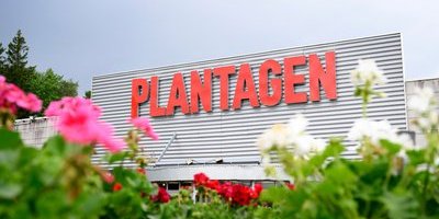 Plantagen ansöker om rekonstruktion