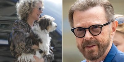 Björn Ulvaeus tog med hunden till slottet