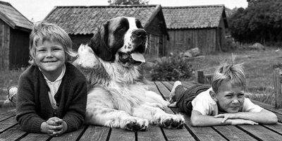 Boken om "Vi på Saltkråkan" passar Astrid Lindgren-nördar