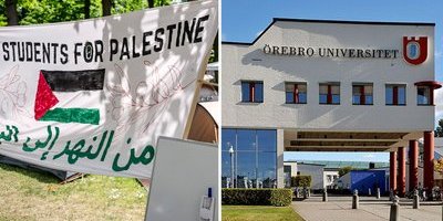 Rädsla och oro för demonstranter: "Det är jätteallvarligt och otryggt"