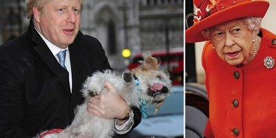 Boris Johnsons hund dödade drottning Elizabeths svanunge