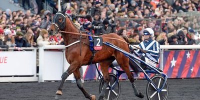 Ny superhäst klar för Elitloppet 2024