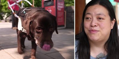 Lisa fick inte gå in på restaurangen – på grund av sin ledarhund Jojo