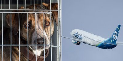 Nytt säkerhetshaveri för Boeing: Landade med öppen lastdörr 