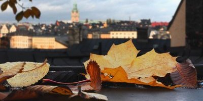 Stockholmsbörsen backar i öppning