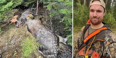 Jägarens obehagliga fynd i skogen: Märkligaste och hemskaste jag sett