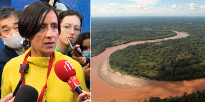 Ljusning för Amazonas: Avskogningen minskar snabbt