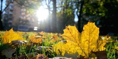 Här kan det bli över 15 grader: "Ett mäktigt högtryck"