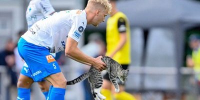 Här tar sig kattungen in på planen – mitt under allsvenska matchen