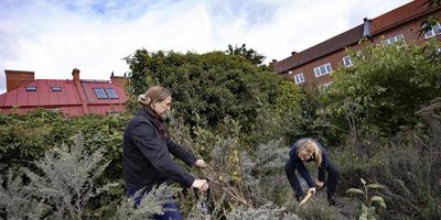 Sofielundsborna vädjar: rädda Naturmolnet nu